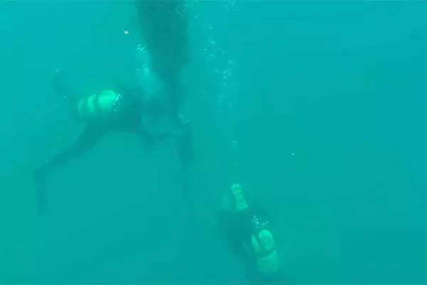 Alghe artificiali nella Baia di Santa Teresa